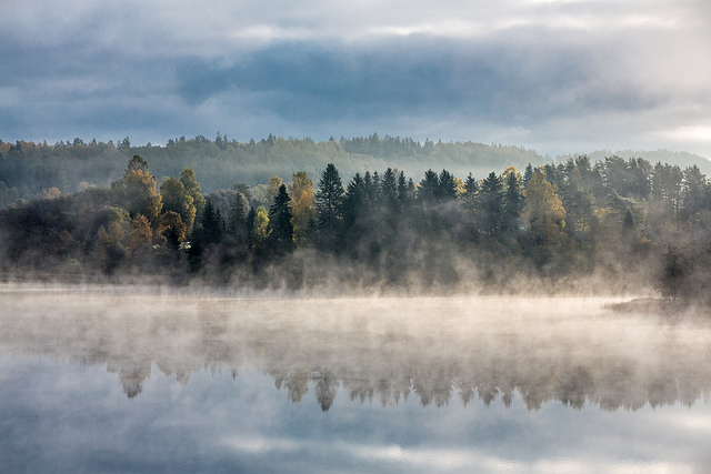 Foggy lake